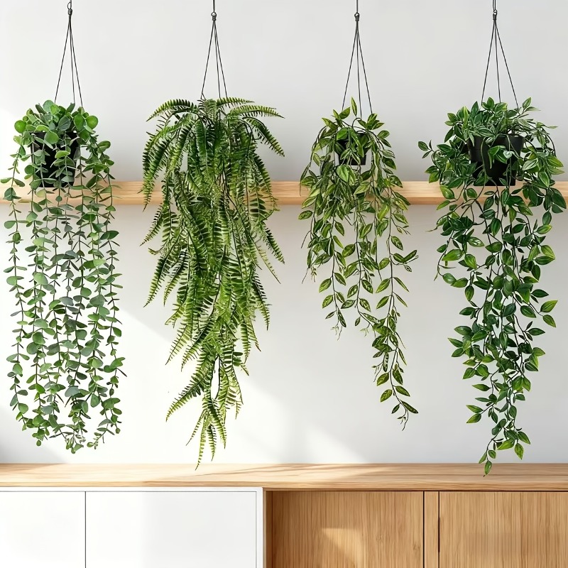 4pcs Hanging Greenery Set Real - String Of Pearls Plant 评论和价格