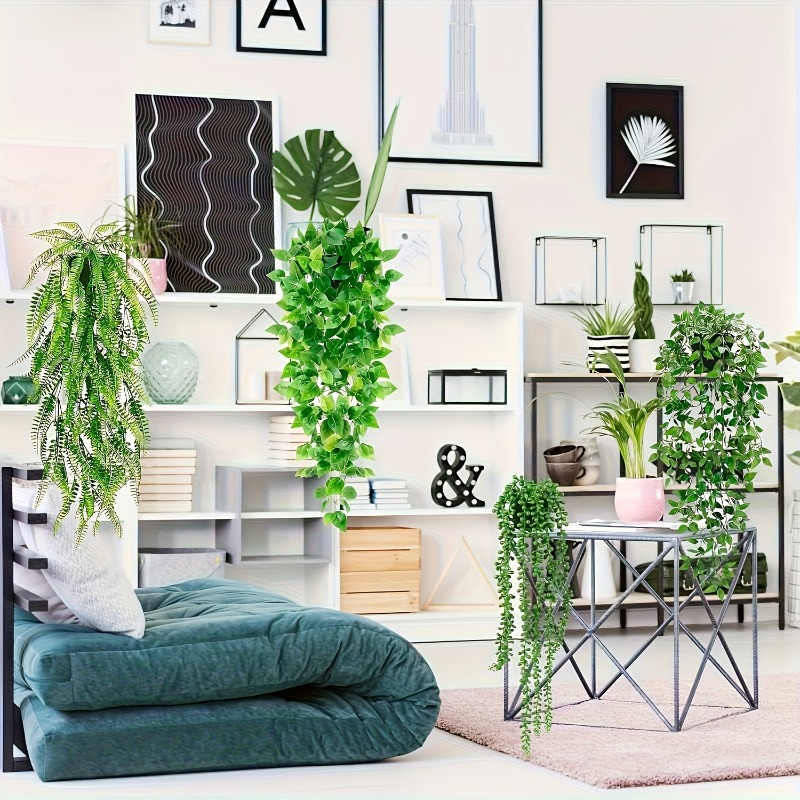 4pcs Hanging Greenery Set Real - String Of Pearls Plant 评论和价格