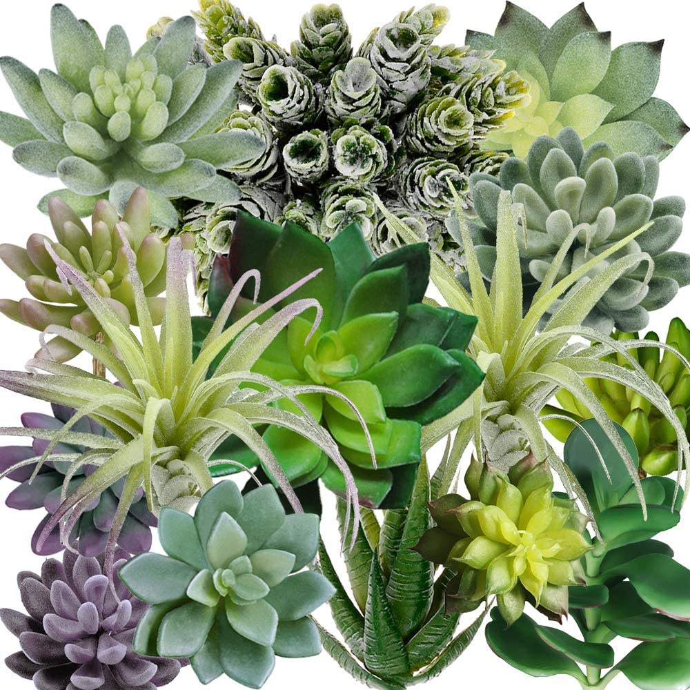 15 Pack Assorted Artificial Su - String Of Pearls Plant 评论和价格